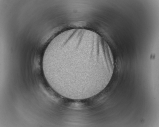 X0000111900212200908241011