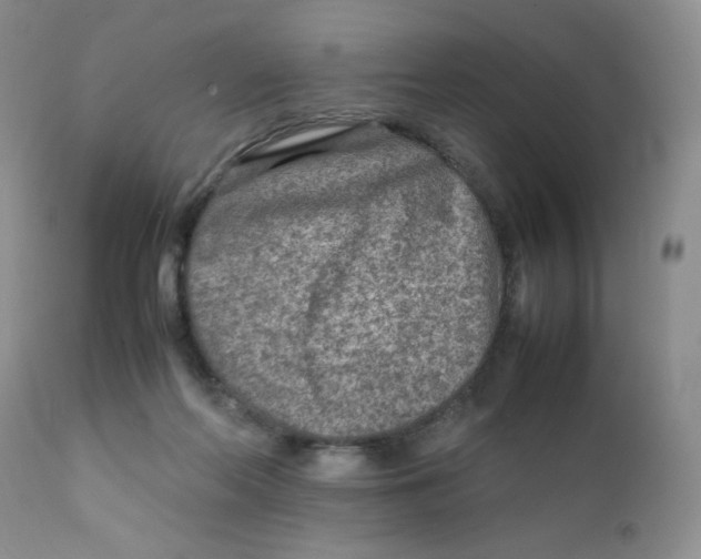 X0000111900214200908241011