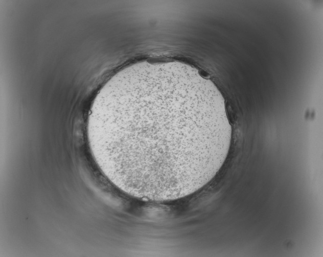 X0000111900215200908241011