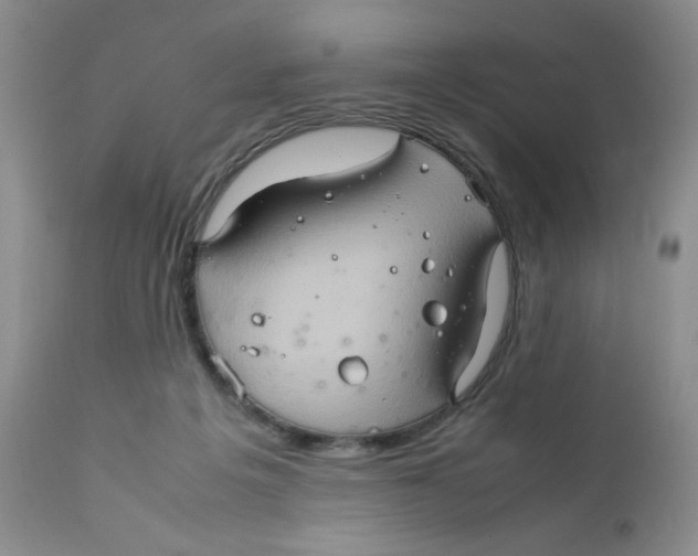 X0000111900217200908241011