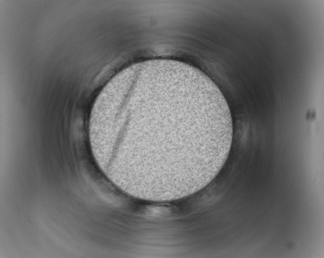 X0000111900220200908241010