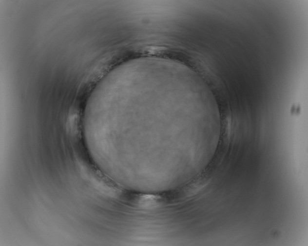 X0000111900222200908241010