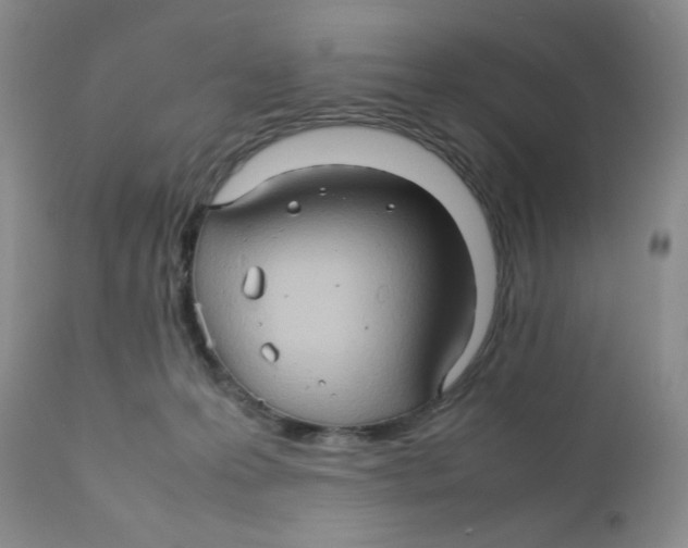 X0000111900223200908241010