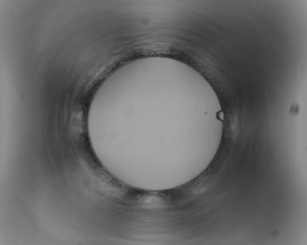 X0000111900224200908241010