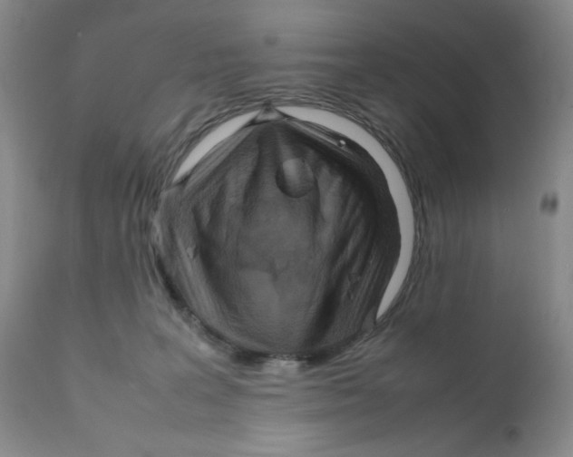 X0000111900227200908241010