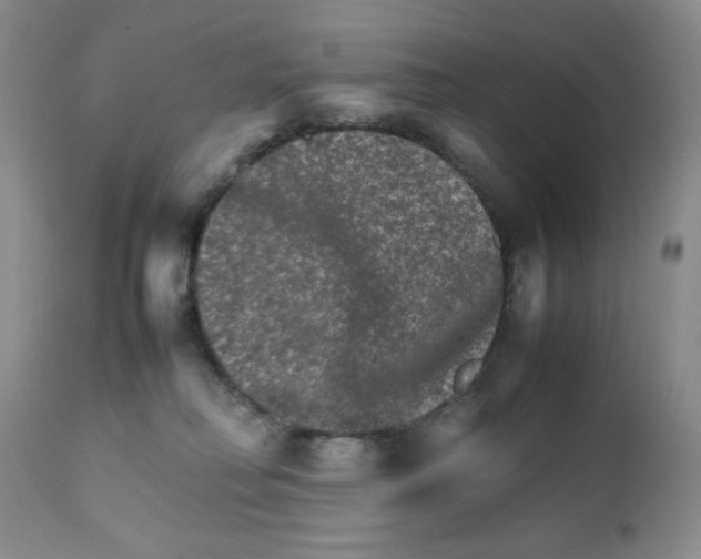 X0000111900230200908241010