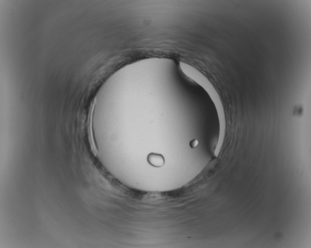 X0000111900231200908241010