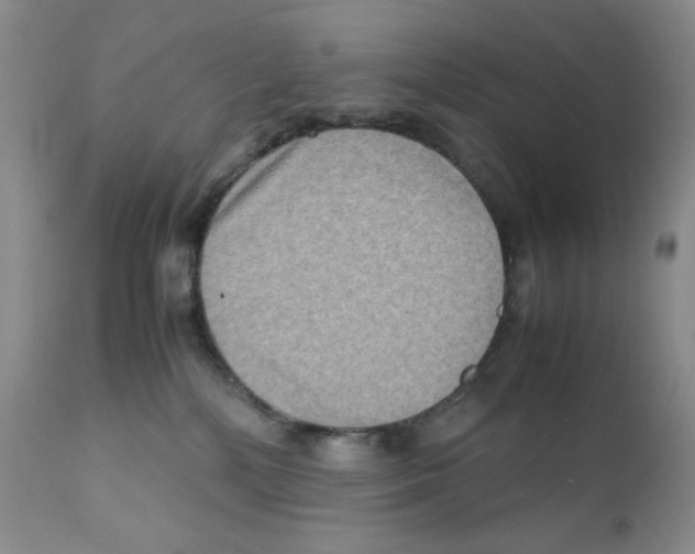 X0000111900232200908241010