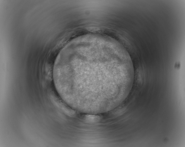 X0000111900234200908241010