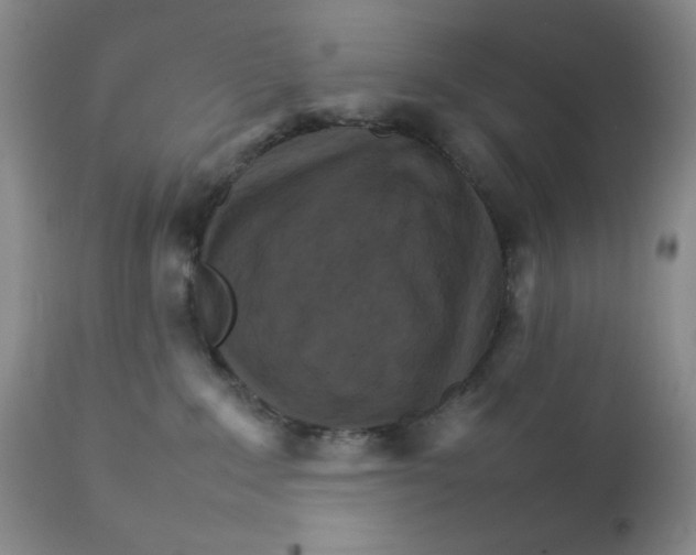 X0000111900235200908241010