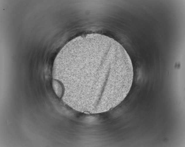 X0000111900236200908241010