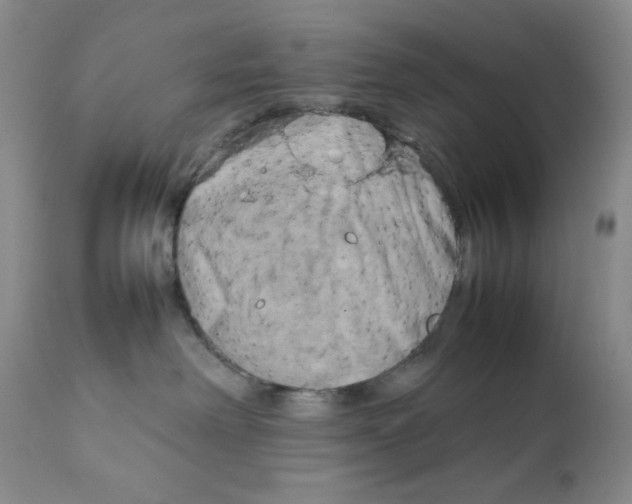 X0000111900238200908241010