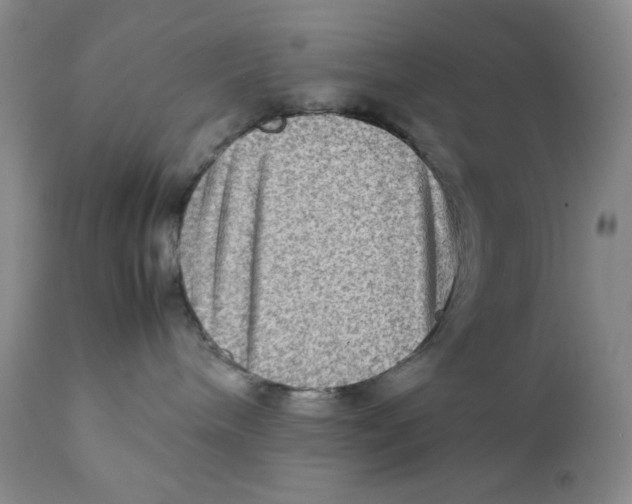 X0000111900240200908241010