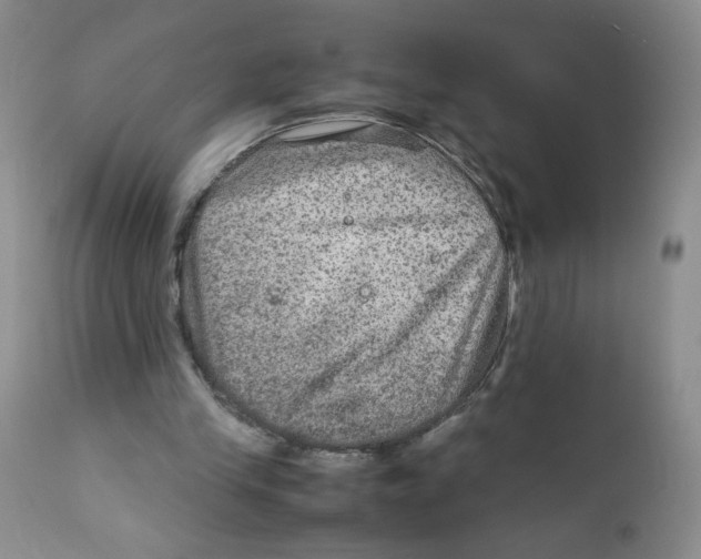 X0000111900245200908241010