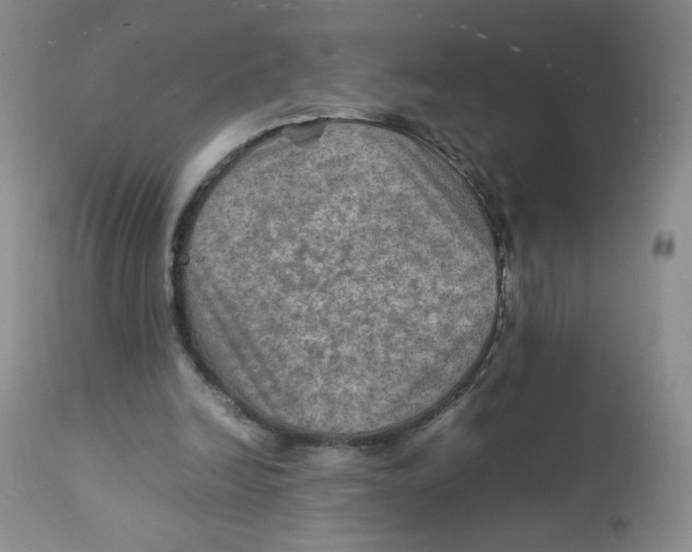 X0000111900246200908241010