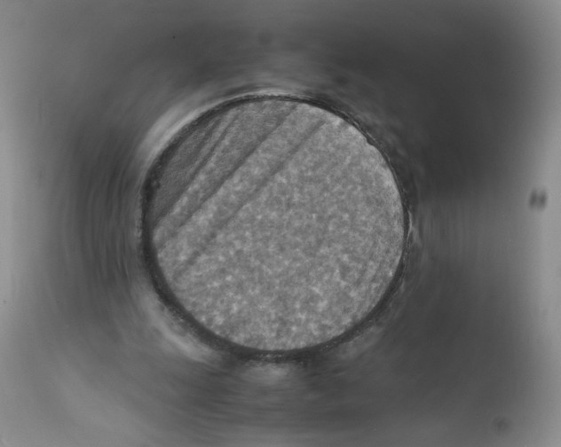 X0000111900247200908241010