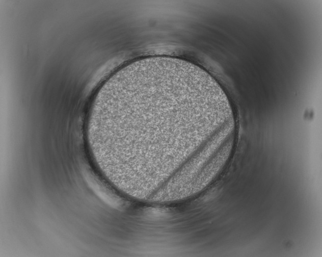 X0000111900250200908241010