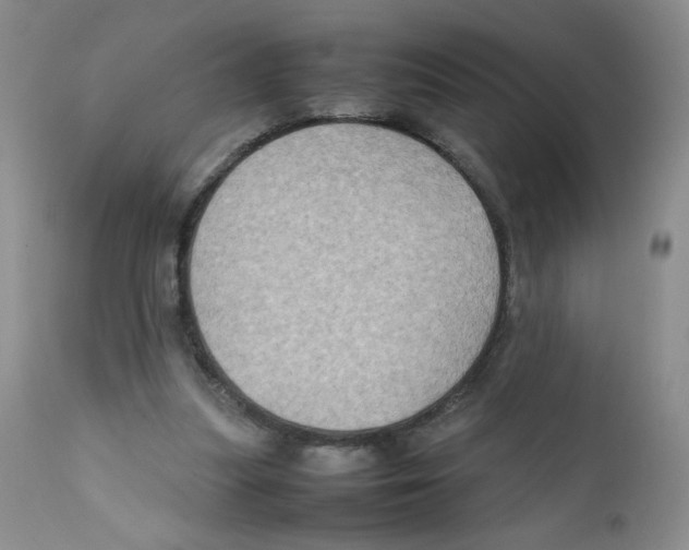 X0000111900251200908241010