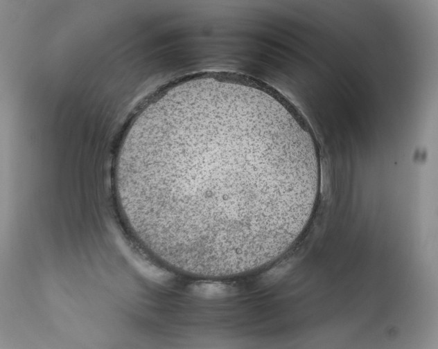 X0000111900253200908241010