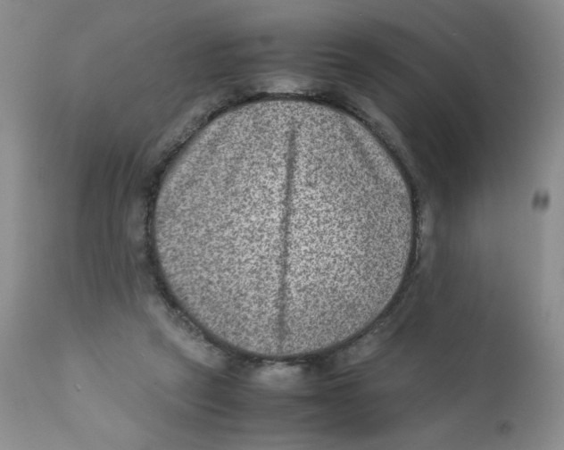 X0000111900257200908241010