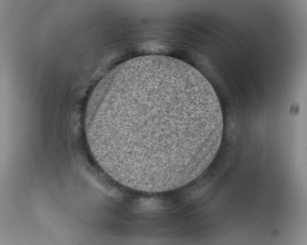 X0000111900259200908241010