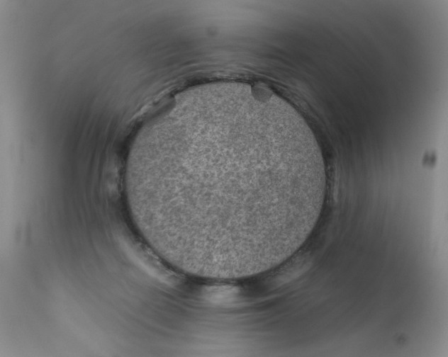 X0000111900266200908241010