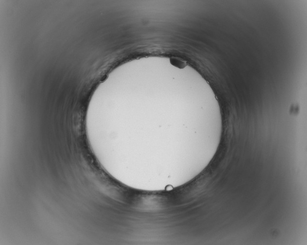 X0000111900268200908241010