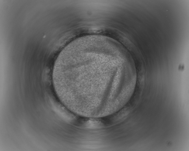 X0000111900270200908241010