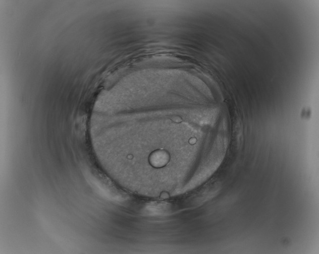 X0000111900271200908241010