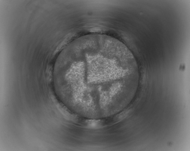 X0000111900273200908241010