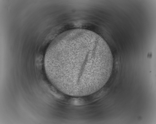 X0000111900275200908241010