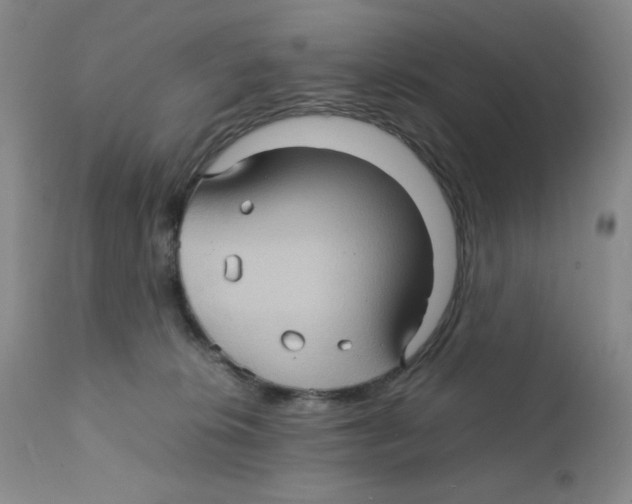 X0000111900276200908241010