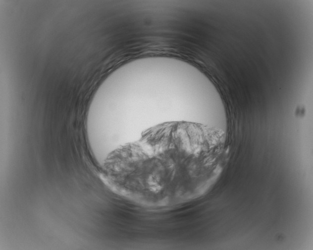 X0000111900277200908241010