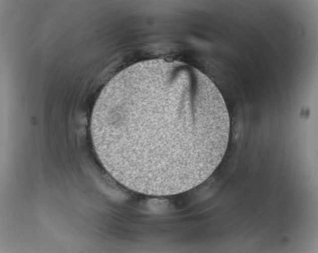 X0000111900279200908241010