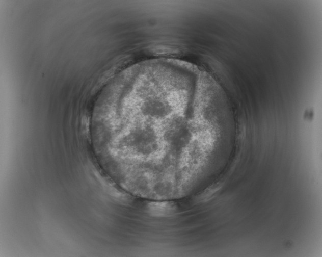 X0000111900281200908241010