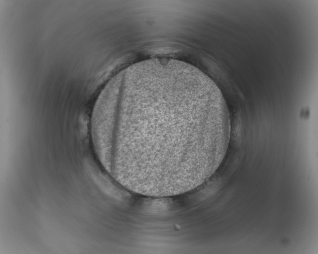 X0000111900282200908241010