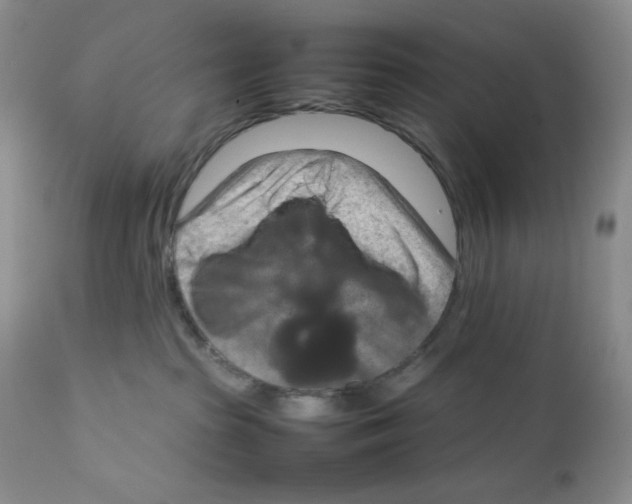 X0000111900285200908241010