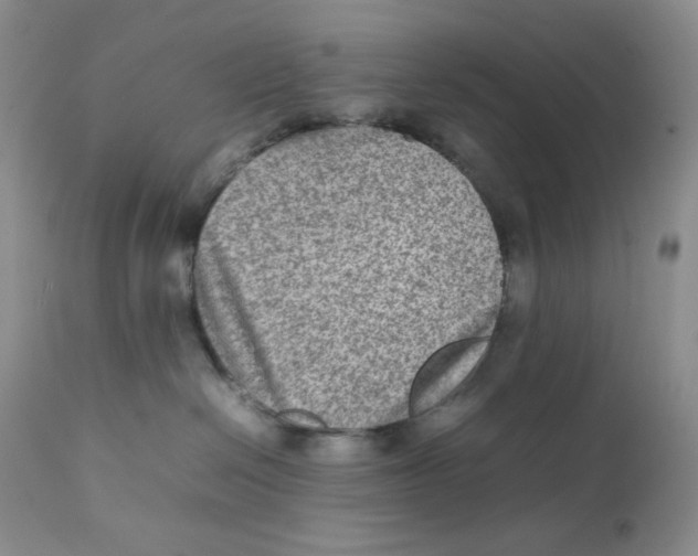 X0000111900286200908241010