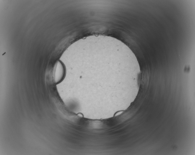 X0000111900287200908241010