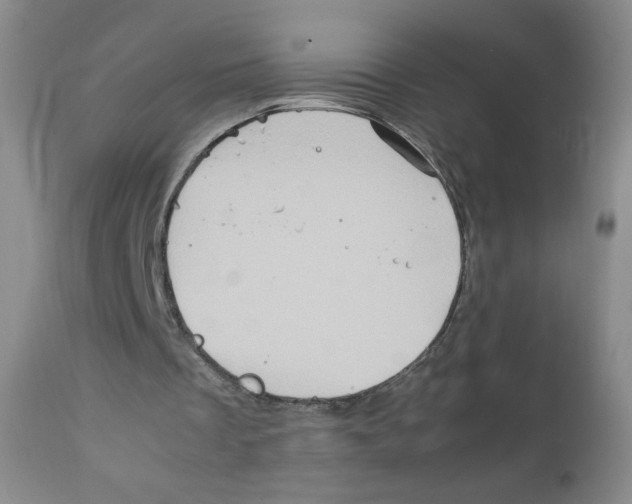 X0000111900289200908241010