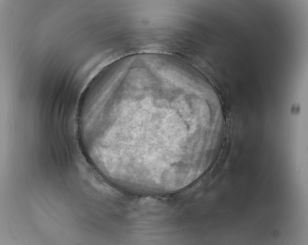 X0000111900290200908241010