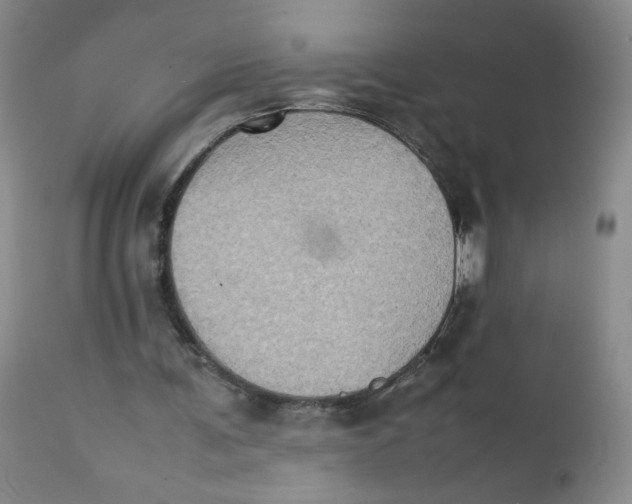 X0000111900291200908241009