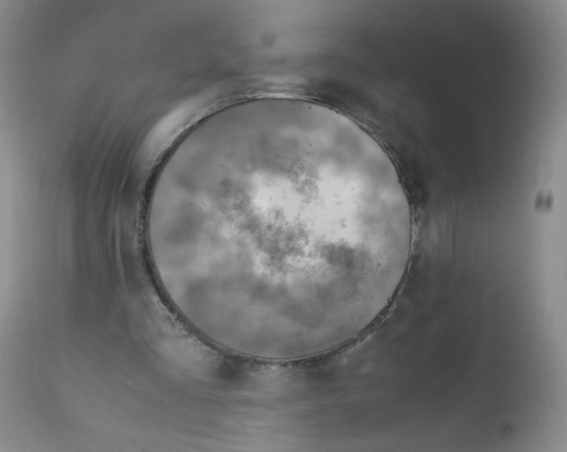 X0000111900293200908241009