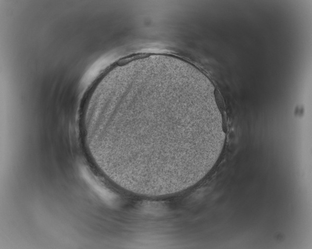 X0000111900296200908241009