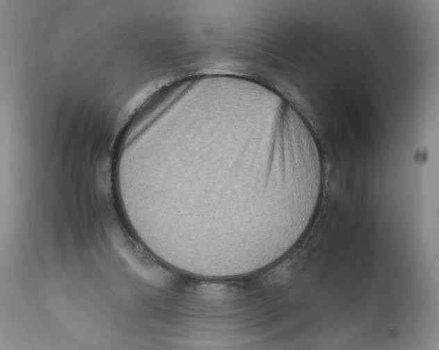 X0000111900298200908241009