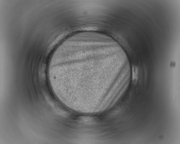 X0000111900300200908241009