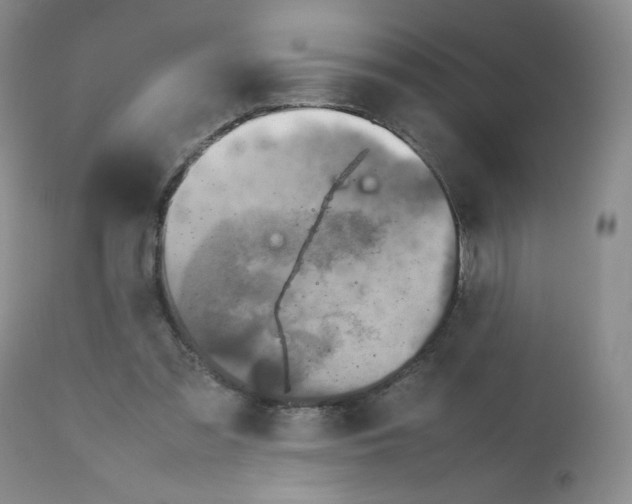 X0000111900301200908241009