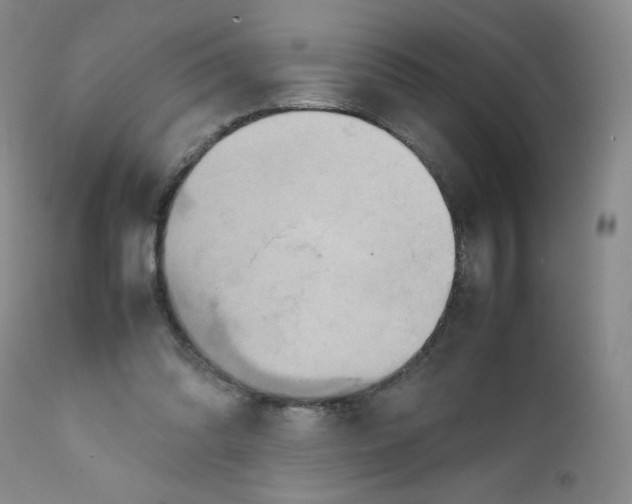 X0000111900302200908241009