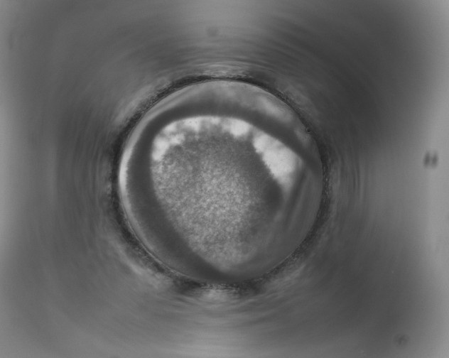 X0000111900303200908241009