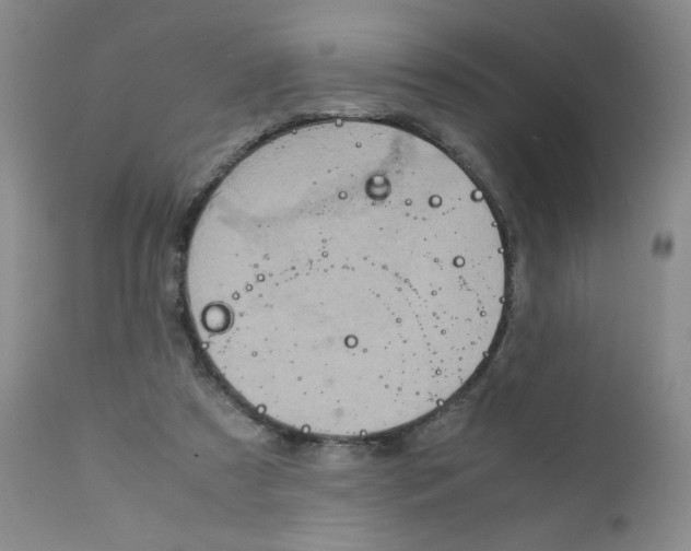 X0000111900305200908241009